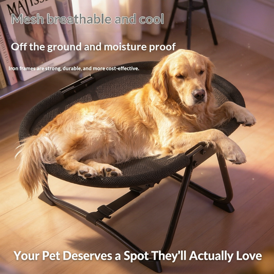 Cat Bed Summer Camp Cot For Dogs And Cats All Seasons