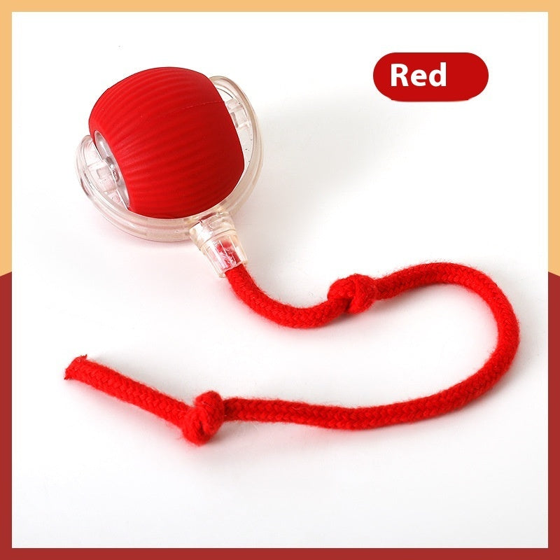 Self-Rolling Interactive Cat Ball Toy with Rope Tassel
