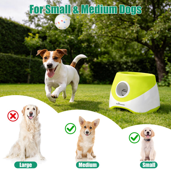 Automatic Ball Launcher