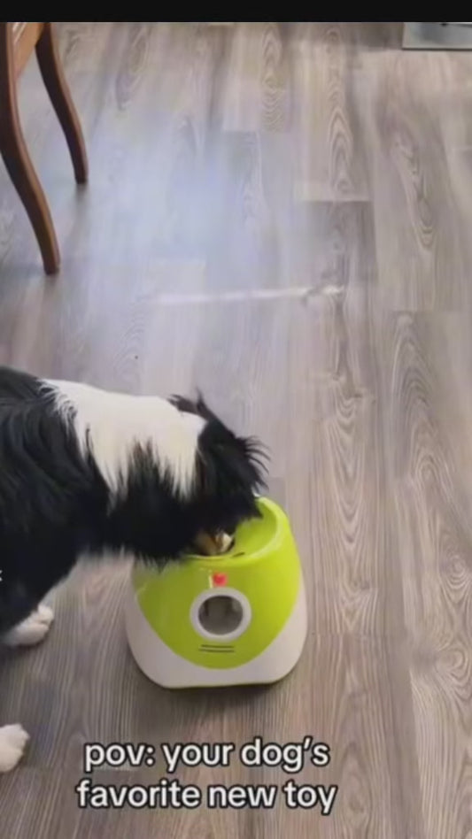 Automatic Dog Ball Launcher – Rechargeable Fetch Toy for Small & Medium Dogs