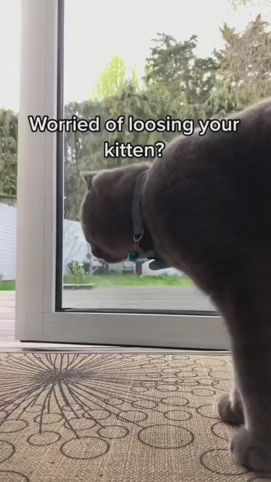 Reflective AirTag Collar - Waterproof Holder for Dogs & Cats